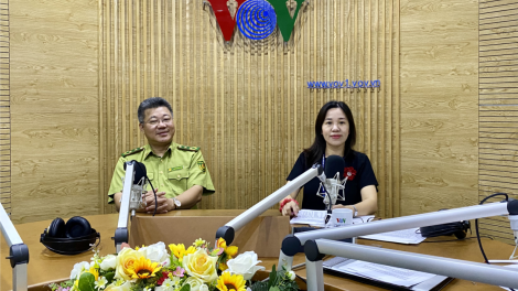Phòng cháy, chữa cháy rừng làm sao để hiệu quả? (16/7/2020)
