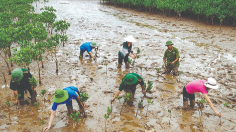 Nhiều mô hình khởi nghiệp thích ứng với biến đổi khí hậu (2/7/2020)