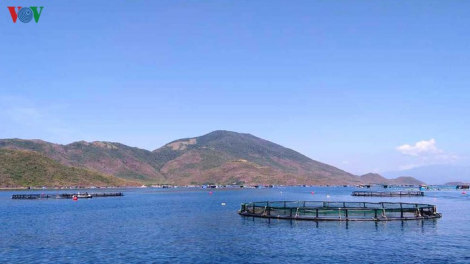Các lực lượng cùng ngư dân vươn khơi bám biển (20/7/2020)