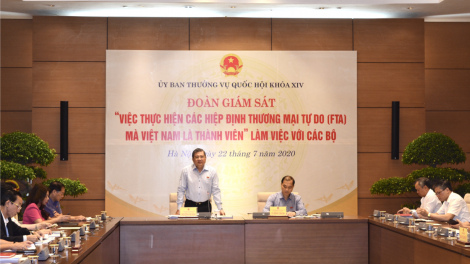 UBTVQH giám sát việc thực hiện các hiệp định thương mại (FTA) (23/7/2020)