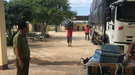 Quản lý thị trường Bình Định: Tạm giữ hơn 70.000 chiếc khẩu trang y tế không có hóa đơn, chứng từ (30/7/2020)