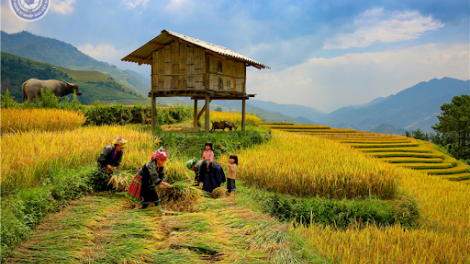 THỜI SỰ 6H SÁNG 4/7/2020: Chủ tịch QH Nguyễn Thị Kim Ngân ký thông qua Chương trình Mục tiêu quốc gia phát triển KT-XH vùng đồng bào dân tộc thiểu số miền núi giai đoạn 2021-2030.