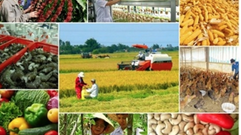 6 tháng năm 2020, ngành nông nghiệp vẫn giữ được mức tăng trưởng dương (1/7/2020)