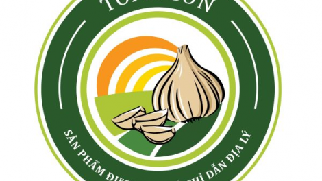 Tỏi Lý Sơn đã có chỉ dẫn địa lý (1/7/2020)