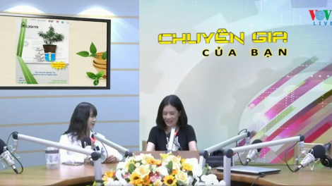 Giải pháp trồng cây tiết kiệm nước, thích ứng với biến đổi khí hậu (31/8/2020)