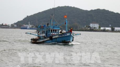 Tuyên truyền pháp luật để ngư dân nâng cao trách nhiệm khi khai thác trên biển (5/8/2020)