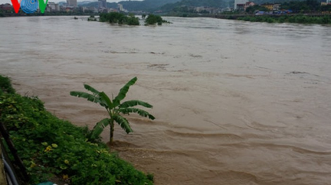 THỜI SỰ 18H CHIỀU 19/8/2020: Mưa lớn gây thiệt hại nặng về người và tài sản tại nhiều tỉnh miền núi phía Bắc.