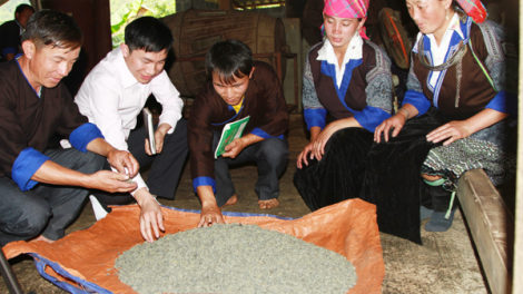 Ngân hàng chính sách xã hội: “Bà đỡ” cho người nghèo vươn lên thoát nghèo (17/8/2020)