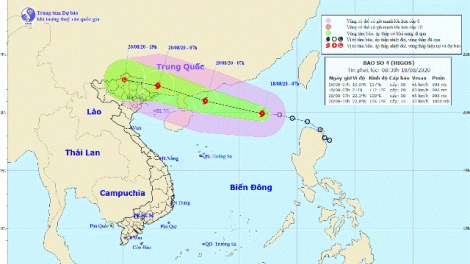 THỜI SỰ 12H TRƯA 18/8/2020: Bão số 4 với sức gió giật cấp 10, dự báo gây mưa rất lớn trong những ngày tới tại các tỉnh phía Bắc