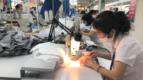 COVID-19: DN chấp nhận bị đào thải hay xoay sở để tồn tại (5/8/2020)