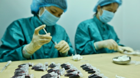 Việt Nam nỗ lực tìm vắc xin COVID-19 (18/8/2020)