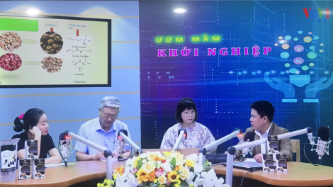 Dự án "Hành tỏi đen": Khởi nghiệp từ đề tài khoa học, đâu là khó khăn? (16/8/2020)