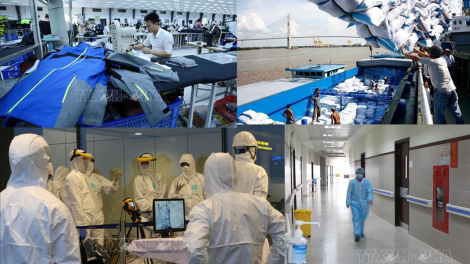 Chung sống, phát triển an toàn với dịch bệnh (26/8/2020)