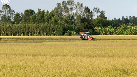 Kịch bản tăng trưởng của ngành nông nghiệp trong đại dịch (14/8/2020)
