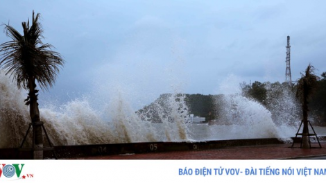 THỜI SỰ 21H30 ĐÊM 1/8/2020: Các địa phương khẩn trương ứng phó với cơn bão số 2.