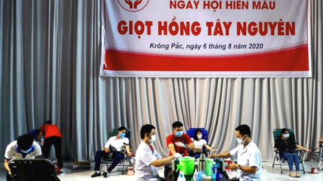 Không ngại Covid, hàng trăm người dân Đắk Lắk tình nguyện hiến máu (6/8/2020)