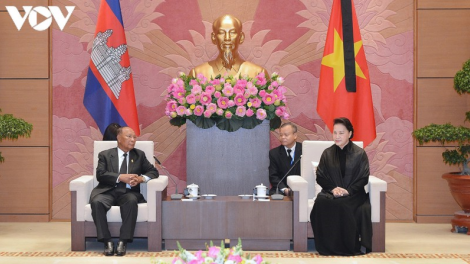 THỜI SỰ 18H CHIỀU 15/8/2020: Chủ tịch Quốc hội Nguyễn Thị Kim Ngân tiếp Chủ tịch Quốc hội Campuchia