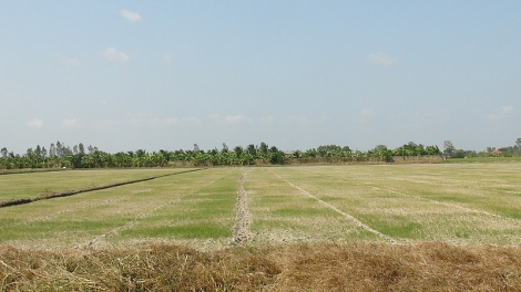 ĐBSCL phải làm gì để thích nghi và ứng phó với hạn mặn? (29/9/2020)