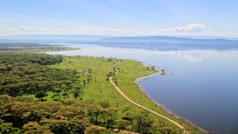 "Thiên đường hồng hạc" - Công viên quốc gia hồ Nakuru, Kenya (10/9/2020)
