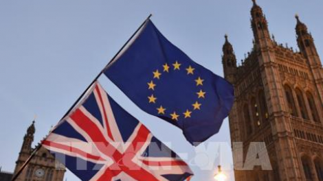 Cuộc trưng cầu ý dân “Brexit kiểu Thụy Sĩ” (28/9/2020)