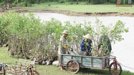 Về Đông Long nghe kể chuyện giữ rừng (30/9/2020)