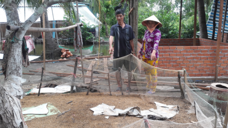 Cà Mau: Cẩn trọng với ổ dịch H5N1 mới xuất hiện (14/9/2020)