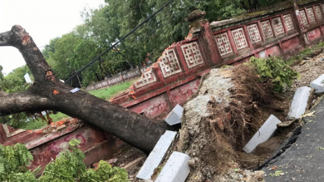 Thừa Thiên Huế: Dọn dẹp cây xanh gãy đổ  “giải cứu” đường phố Huế (20/9/2020)