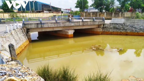 Kênh Cẩm Văn 2 tại Hải Phòng ô nhiễm nghiêm trọng, nghi do xả thải trộm (29/9/2020)