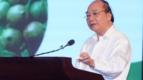 THỜI SỰ 12H TRƯA 29/9/2020: Thủ tướng Nguyễn Xuân Phúc: Phát triển diện tích cây mắc ca bao nhiêu là phù hợp để tránh được mùa mất giá?
