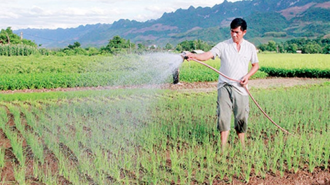 Các tỉnh phía Bắc triển khai sản xuất vụ đông (1/9/2020)