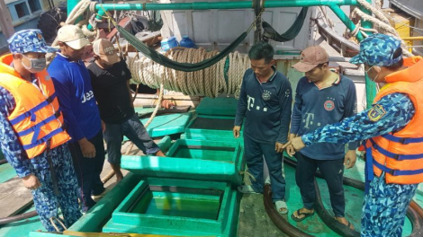 Vươn khơi bám biển: tổ đội đánh bắt giúp ngư dân vươn khơi an toàn hiệu quả (07/09/2020)