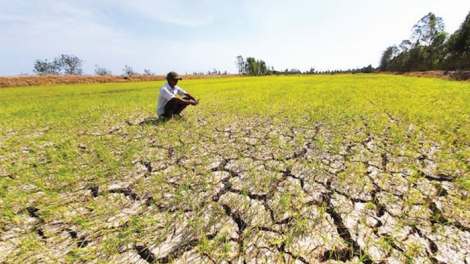 Chủ động ứng phó với hạn mặn nghiêm trọng trong mùa khô 2020-2021(25/09/2020)