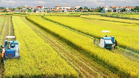 Ngành nông nghiệp nỗ lực hoàn thành mục tiêu xuất khẩu 41 tỷ USD (18/09/2020)