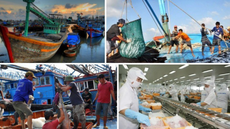 Giải pháp khắc phục cảnh báo thẻ vàng của EC (14/09/2020)