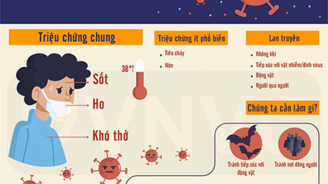 Phân biệt bệnh lý tai mũi họng và Covid 19! (12/9/2020)