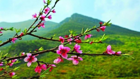 Ca nhạc theo yêu cầu số đặc biệt với chủ đề “Tình ca mùa xuân” (03/01/2020)