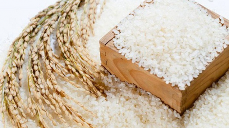 Khẳng định thương hiệu gạo Việt Nam qua các thị trường khó tính (16/01/2021)