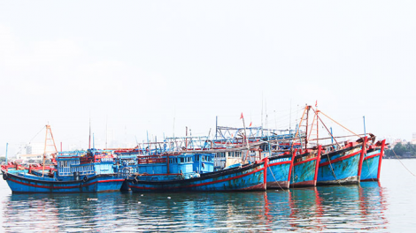 Hơn 80% tàu cá lắp đặt thiết bị giám sát hành trình theo quy định (11/01/2021)