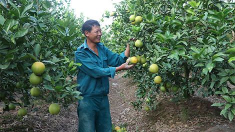 Hưng Yên: Triển khai nhiều mô hình giảm nghèo hiệu quả (13/10/2020)