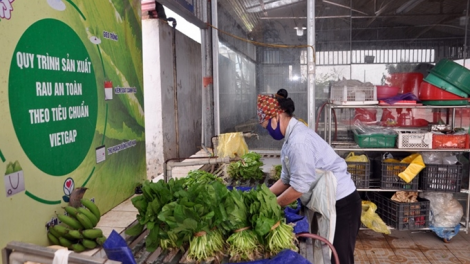 Cần nhiều giải pháp hỗ trợ kinh tế Hợp tác xã vượt khó khăn do đại dịch (15/10/2021)