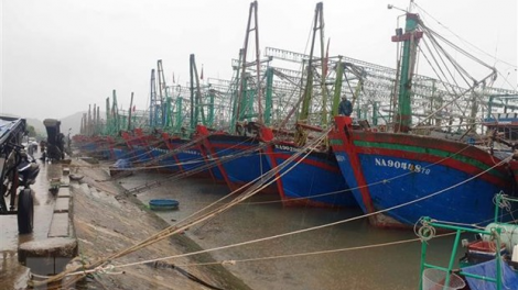 THỜI SỰ 21H30 ĐÊM 13/10/2021: Đêm nay, bão số 8 giật cấp 12 vào các tỉnh Bắc Trung Bộ, gây mưa lớn tại các tỉnh từ Thanh Hóa đến Quảng Trị