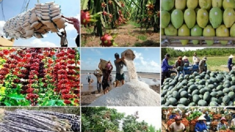 Loạt bài: Thay đổi tư duy kinh tế nông nghiệp - Đảng soi đường, dân thực hiện. <br> Bài 1: Nông nghiệp là trụ đỡ kinh tế - Khi khó khăn chồng lẫn khó khăn (29/10/2021)