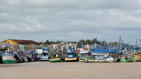Bà Rịa Vũng Tàu: Chấp hành nghiêm chống khai thác IUU ngay từ các cảng cá (03/10/2021)