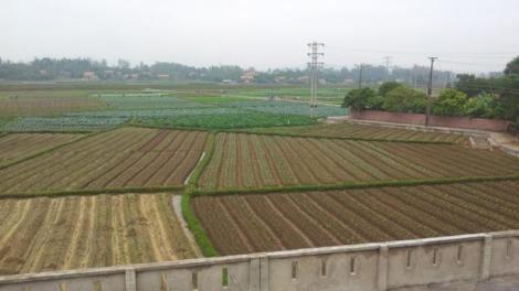 Doanh nghiệp Quảng Ninh vượt khó trong đại dịch (13/10/2021)