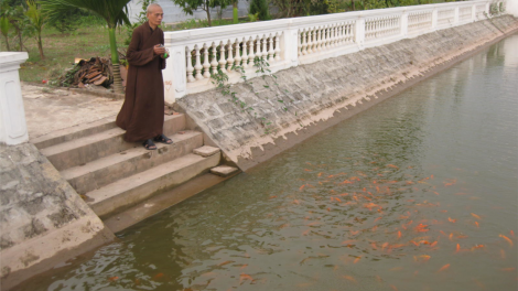 Đại lão Hòa thượng Thích Phổ Tuệ - Pháp chủ Giáo hội Phật giáo Việt
Nam viên tịch, trụ thế 105 năm.
