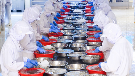 Tháo gỡ khó khăn cho hộ kinh doanh, phục hồi sản xuất trong điều kiện bình thường mới (25/10/2021)
