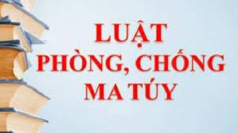 Ngành Hải quan tham gia xây dựng dự thảo Nghị định hướng dẫn thi hành Luật Phòng chống ma tuý 2021 (14/10/2021)