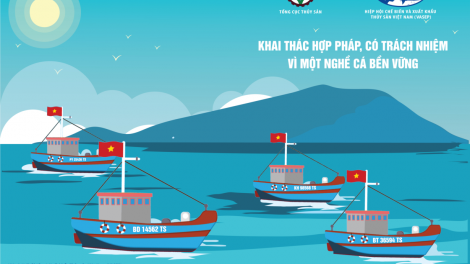 Loạt bài: Cấp bách gỡ thẻ vàng thuỷ sản
Bài 1: Đánh bắt bất hợp pháp: Điểm đen trong hoạt động gỡ thẻ vàng thủy sản (11/10/2021)