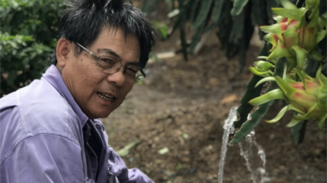 Làm nông 1 triệu 1 ngày? (3/10/2021)