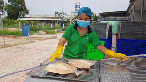 TP. HCM: Doanh nghiệp nông nghiệp cần tồn tại trước khi tính chuyện phục hồi (23/10/2021)